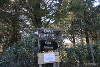 Bosco della Contessa